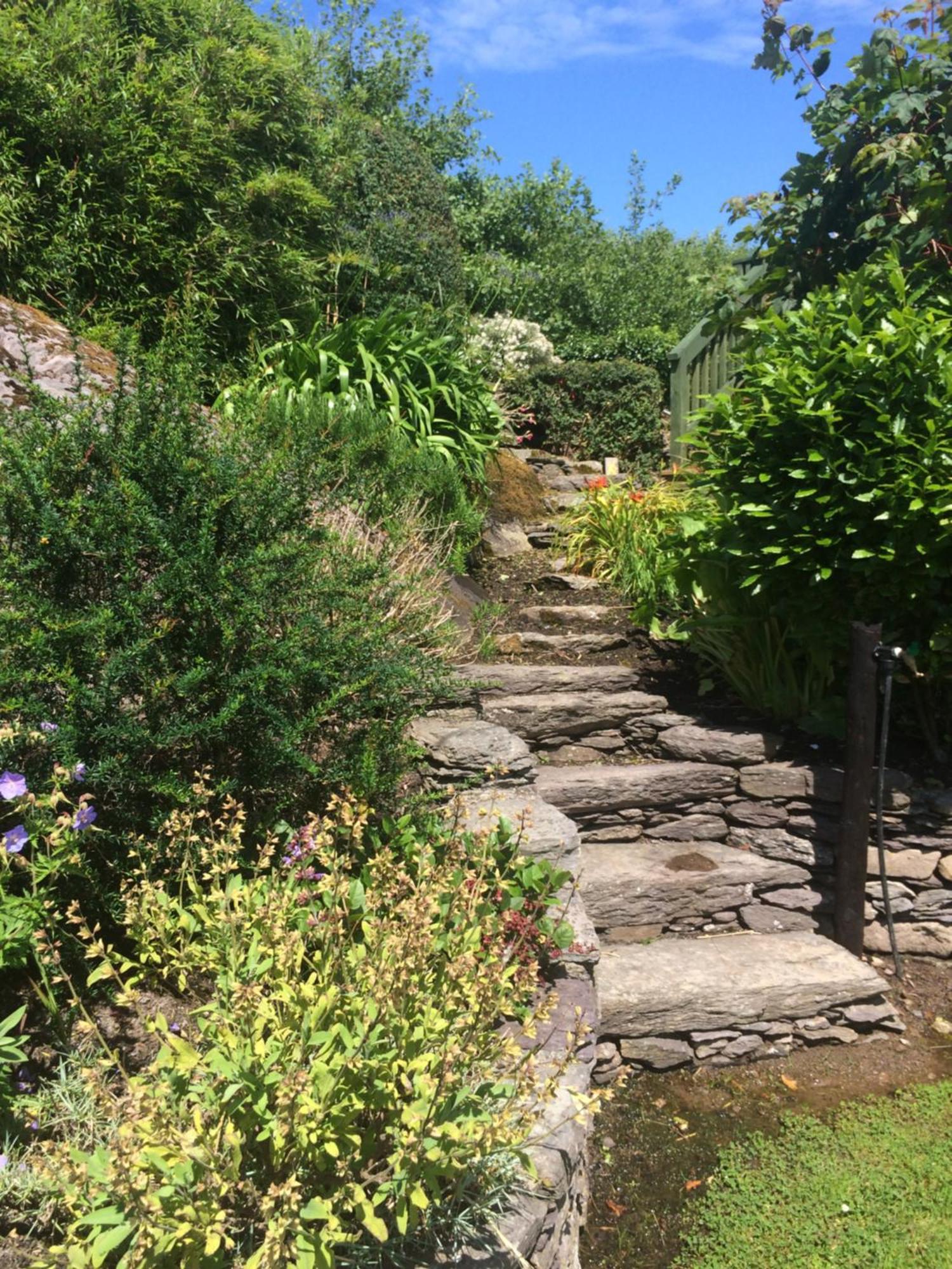 Unique Old Stone Cottage كيلارني المظهر الخارجي الصورة